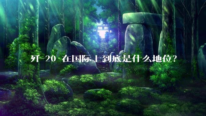 歼-20 在国际上到底是什么地位？