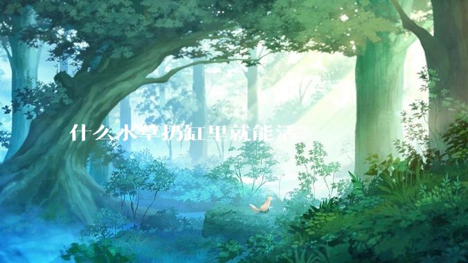 什么水草扔缸里就能活？