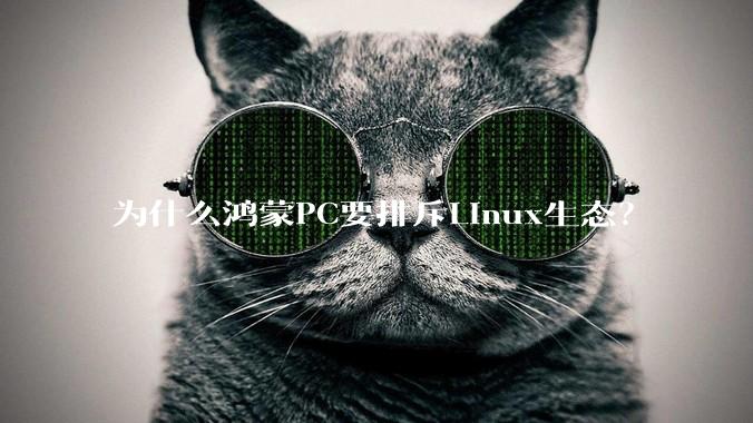 为什么鸿蒙PC要排斥Linux生态？