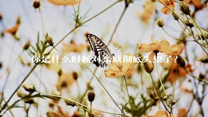你是什么时候对亲戚彻底失望了？