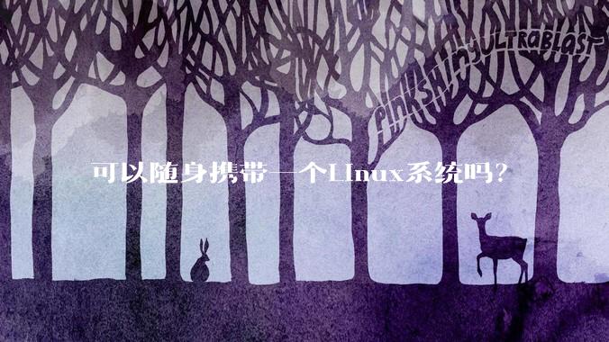 可以随身携带一个Linux系统吗？