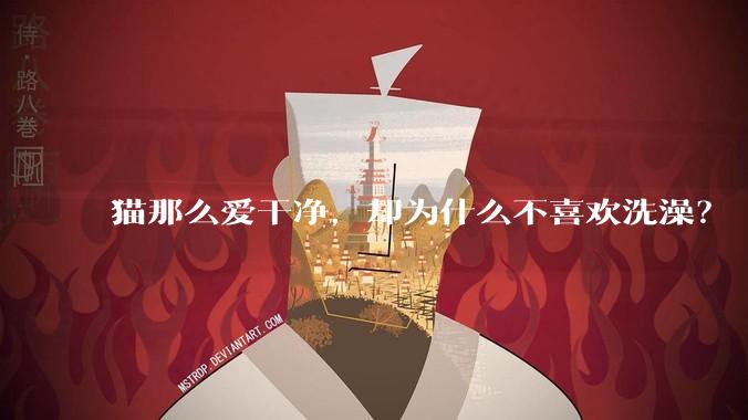 猫那么爱干净，却为什么不喜欢洗澡？