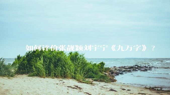 如何评价张靓颖刘宇宁《九万字》?