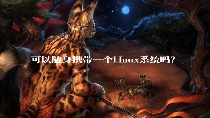 可以随身携带一个Linux系统吗？