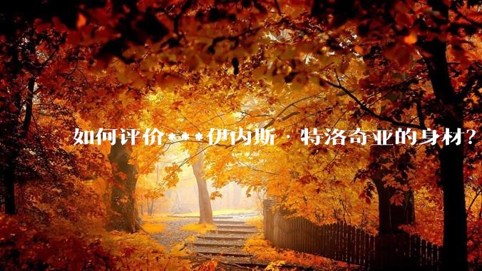 如何评价***伊内斯·特洛奇亚的身材？