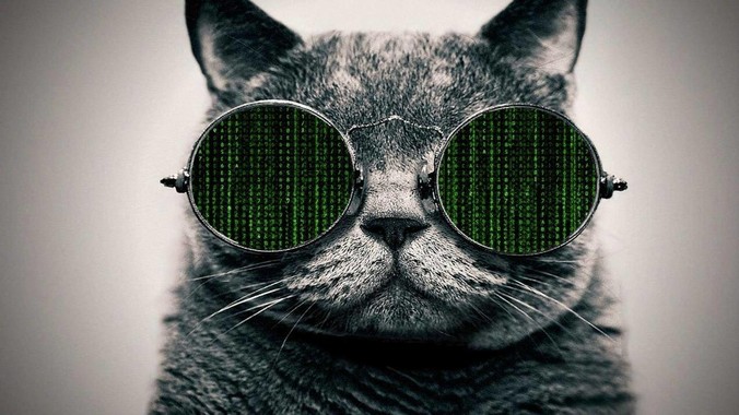 Linux 内核的系统有没有类似macOS 那样漂亮流畅的桌面环境的发行版本?